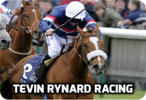 Tevin Rynard Racing Review